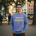 A young man stands outdoors in a park, wearing a light blue sweatshirt that reads "JESUS THE WAY THE TRUTH THE LIFE" in large letters. He also wears a silver cross necklace and smiles at the camera, with trees and buildings in the background.