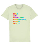 Girls Just Wanna Have Rights Women's T-Shirt