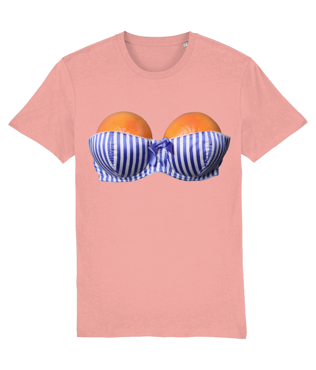 Busty Fruit Bra Women's Funny T-Shirt