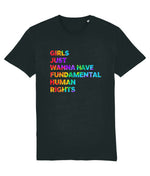 Girls Just Wanna Have Rights Women's T-Shirt