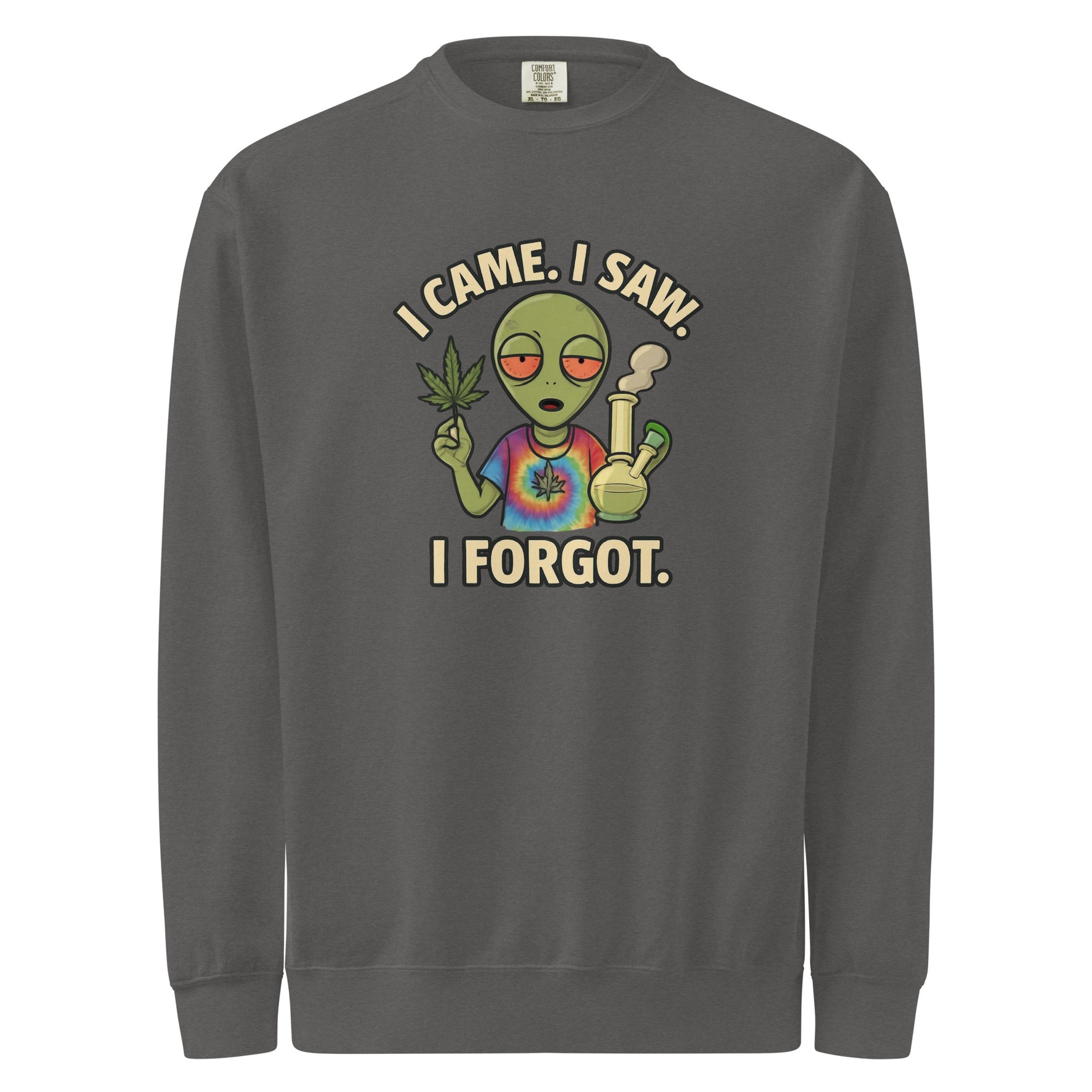 Gray sweatshirt with an alien graphic and text 'I Came. I Saw. I Forgot.' on a white background